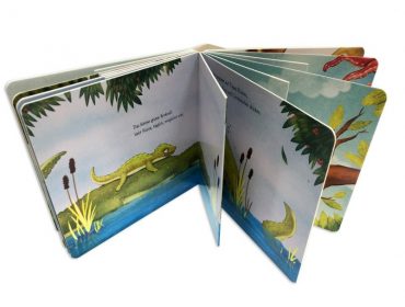 libro de cartón con páginas interiores diferentes