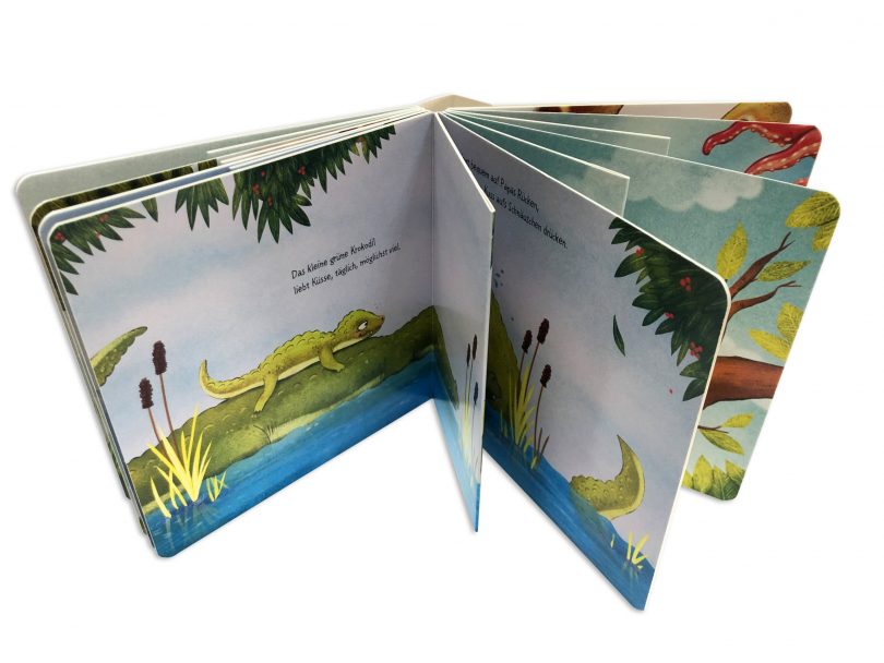 libro de cartón con páginas interiores diferentes - libro de cartón con páginas interiores diferentes